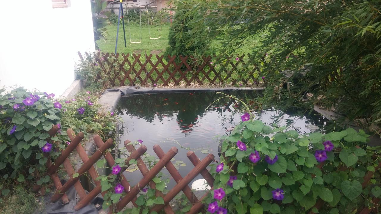 Rakoczi Vendeghaz Daire Poroszló Dış mekan fotoğraf